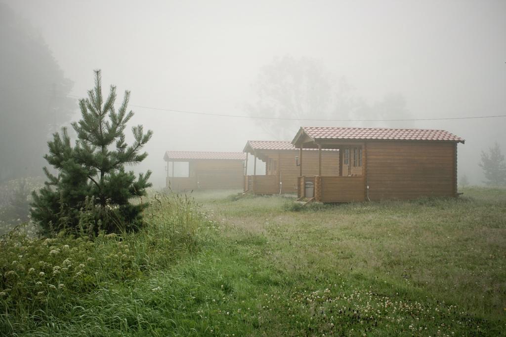 מלון Jõesuu Soomaa Water Camp מראה חיצוני תמונה